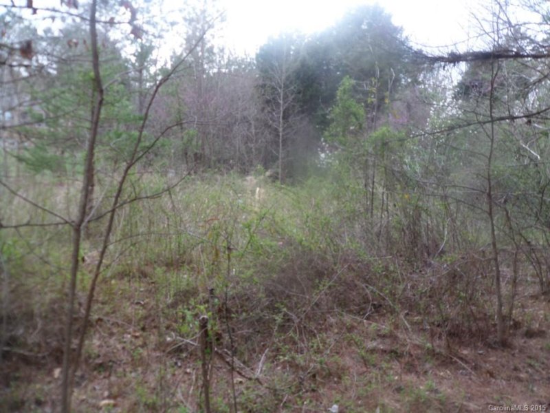 Property image 5 at 5045 Stockbridge Drive, Mount Holly, NC 28120