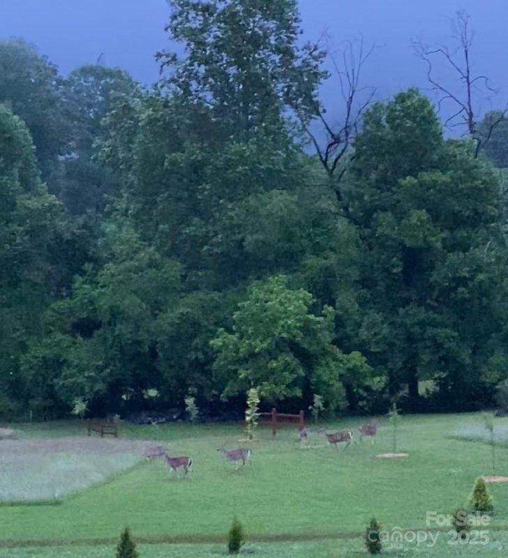 Property image 4 at 9999 Hunters Ridge Drive, Mills River, NC 28759