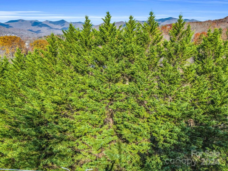 101 Cottage Settings Lane