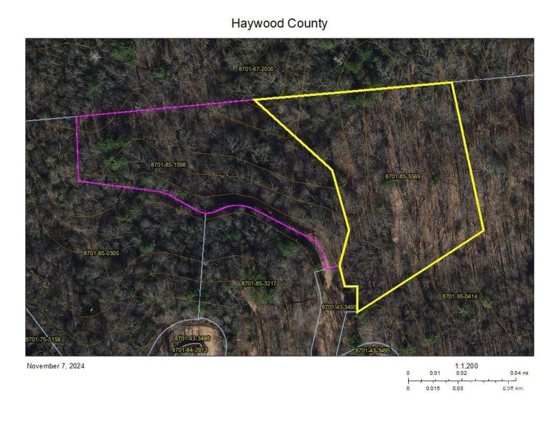 Property image 2 of 124 125 Large Poplar Trail in Preserve At Chestnut Flats, Waynesville, NC 28785