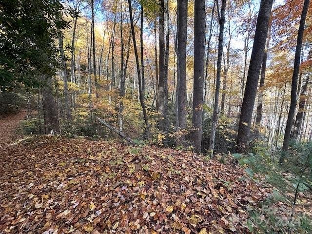 Property image 4 of 124 125 Large Poplar Trail in Preserve At Chestnut Flats, Waynesville, NC 28785