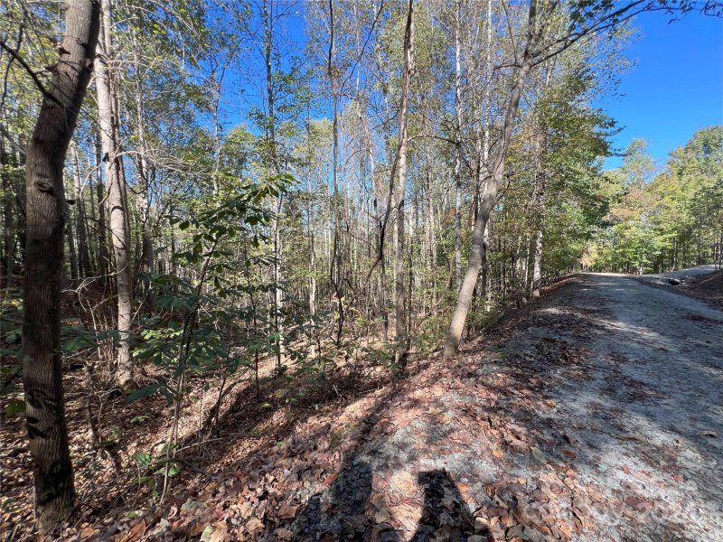 Property image 2 at Tbd Brindlewood Drive, Nebo, NC 28761