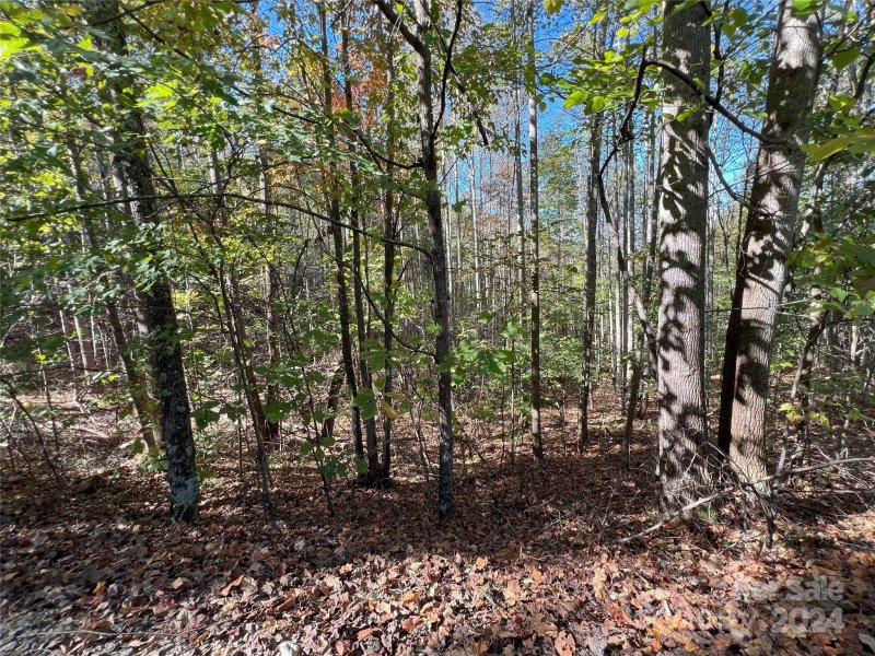 Property image 3 at Tbd Brindlewood Drive, Nebo, NC 28761