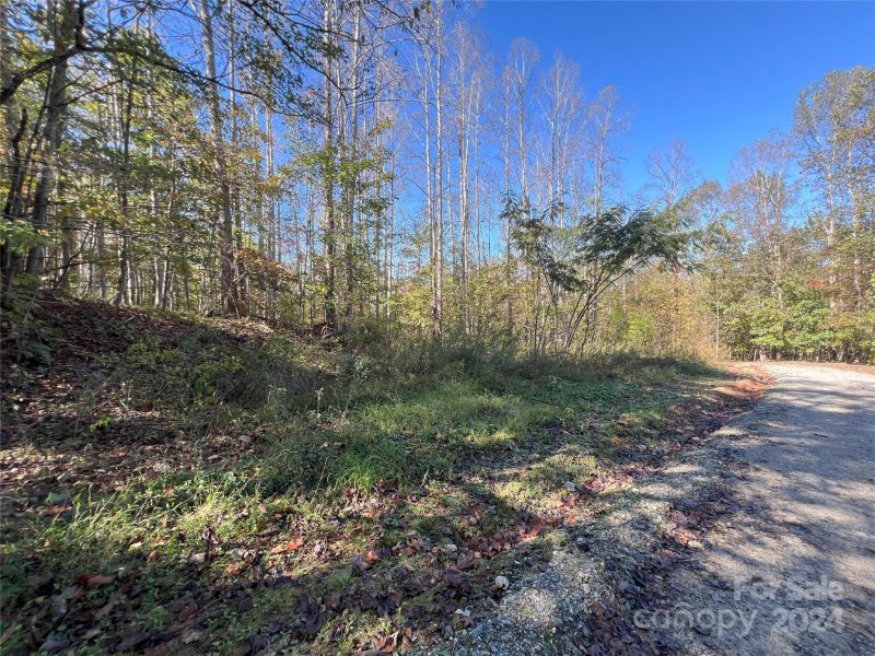 Property image 5 at Tbd Brindlewood Drive, Nebo, NC 28761