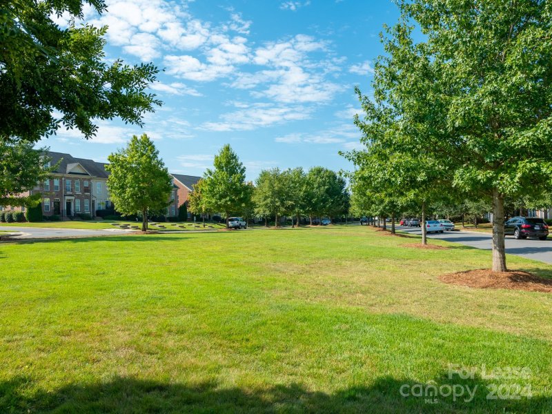 Property image 5 at 11165 Cedar Walk Lane, Charlotte, NC 28277