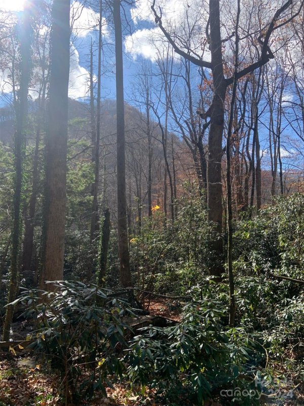 Property image 3 at 0 Little Mountain Road, Maggie Valley, NC 28751