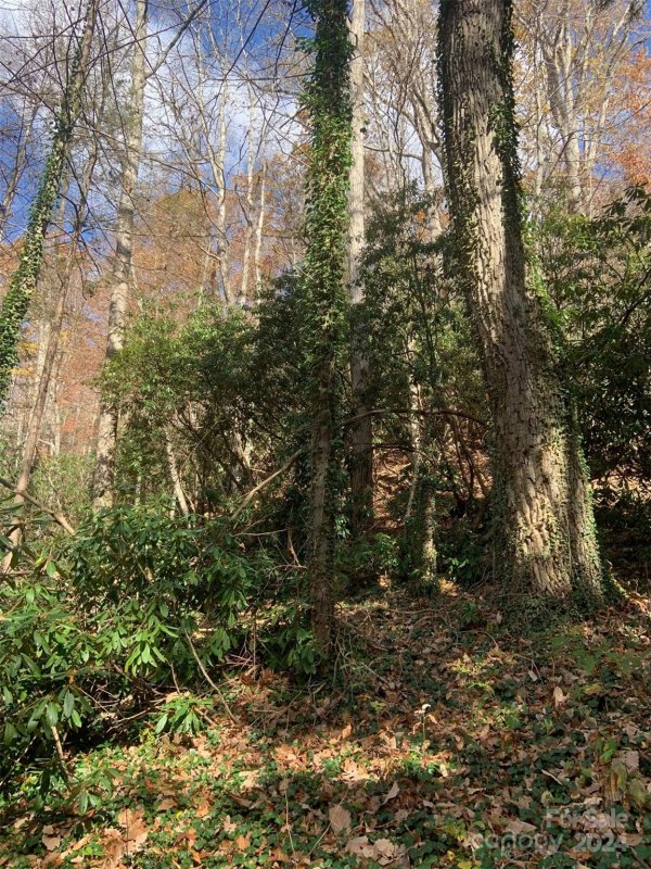 Property image 4 at 0 Little Mountain Road, Maggie Valley, NC 28751