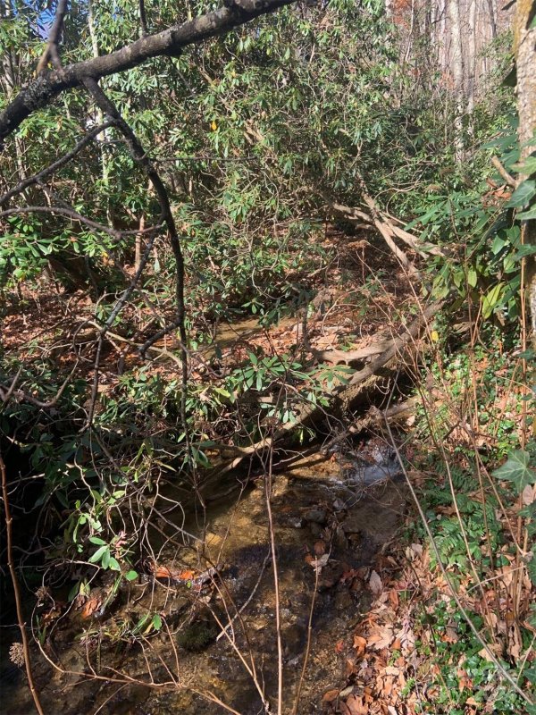 Property image 5 at 0 Little Mountain Road, Maggie Valley, NC 28751