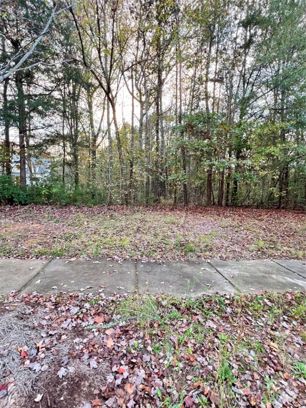 Property image 3 at 7006 Waxhaw Crossing Drive, Waxhaw, NC 28173