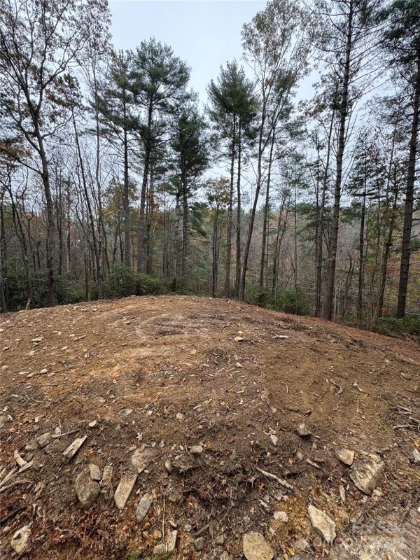 Tbd Frozen Creek Road