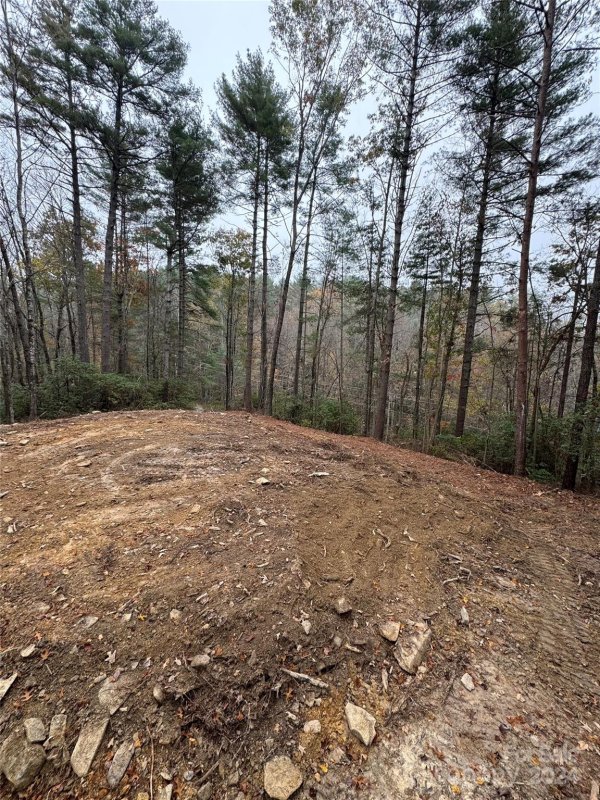 Property image 2 at Tbd Frozen Creek Road, Brevard, NC 28712