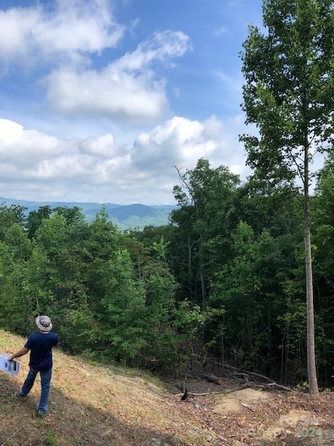 Property image 3 of 000 Alastar Drive in Great Sky, Union Mills, NC 28167