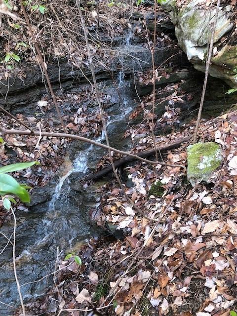 Property image 5 of 000 Alastar Drive in Great Sky, Union Mills, NC 28167