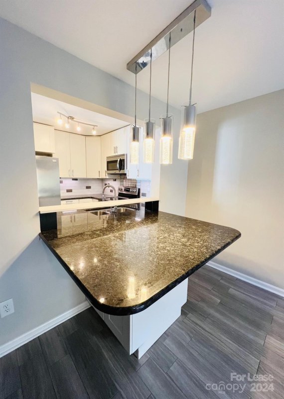 Property image 5 at 1311 Maple Shade Lane, Charlotte, NC 28270