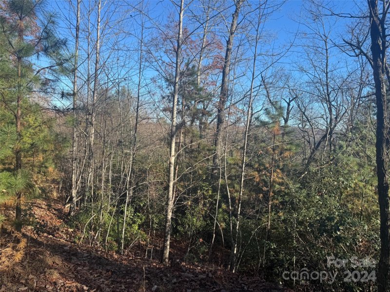 14 Spring House Trail