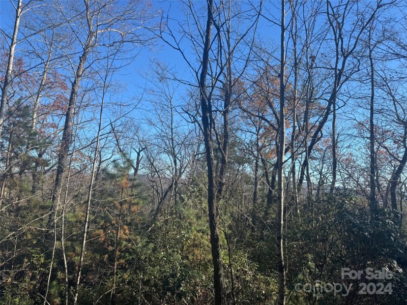 Property image 2 at 14 Spring House Trail, Brevard, NC 28712