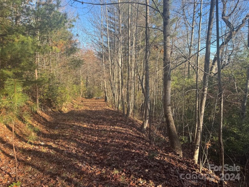 Property image 3 at 14 Spring House Trail, Brevard, NC 28712