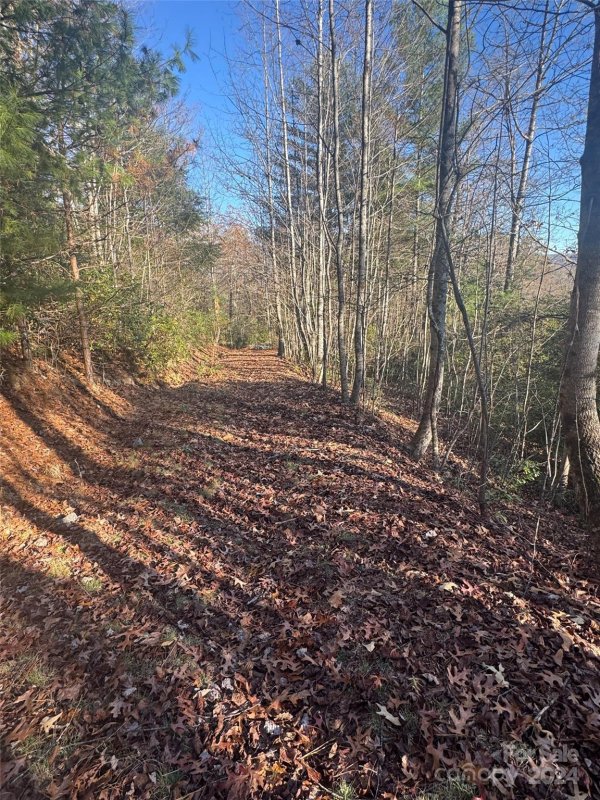 Property image 4 at 14 Spring House Trail, Brevard, NC 28712