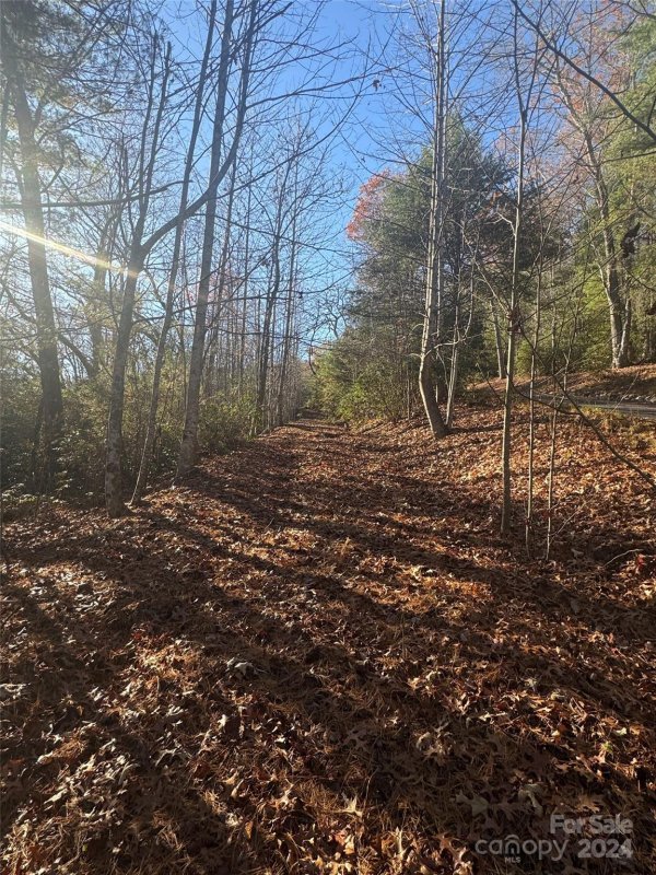 Property image 5 at 14 Spring House Trail, Brevard, NC 28712