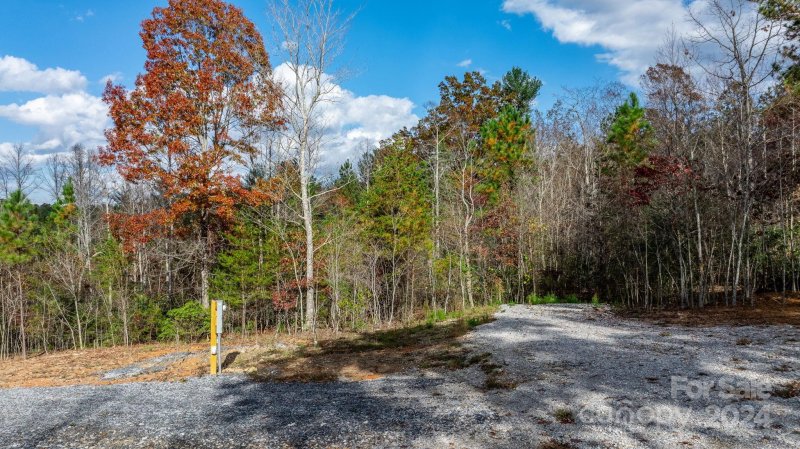 Property image 4 at 65 Smoothstem Court, Nebo, NC 28761