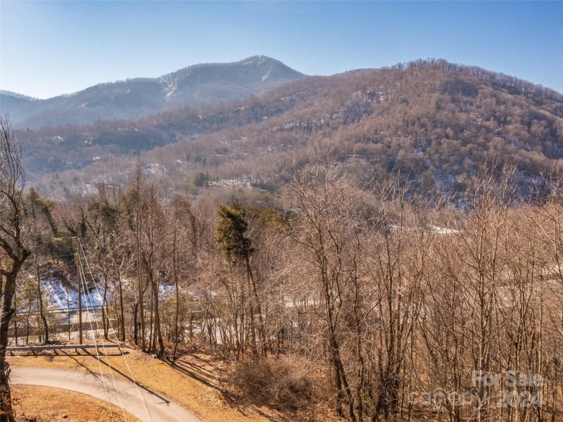 Property image 4 at 9999 Lovebird Lane, Candler, NC 28715