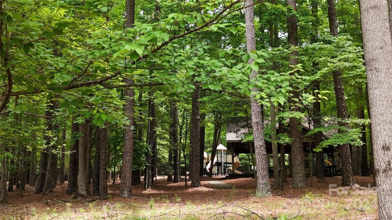 Property image 2 of 106 Parkview Lane in Wildlife Bay, Troutman, NC 28166