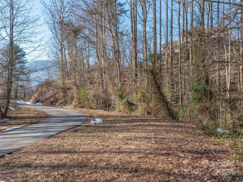 Property image 3 at 9999 Lovebird Lane, Candler, NC 28715