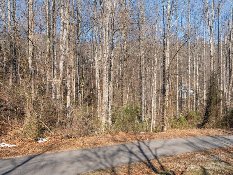 Property image 4 at 9999 Lovebird Lane, Candler, NC 28715