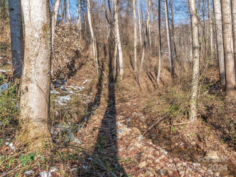 Property image 5 at 9999 Lovebird Lane, Candler, NC 28715