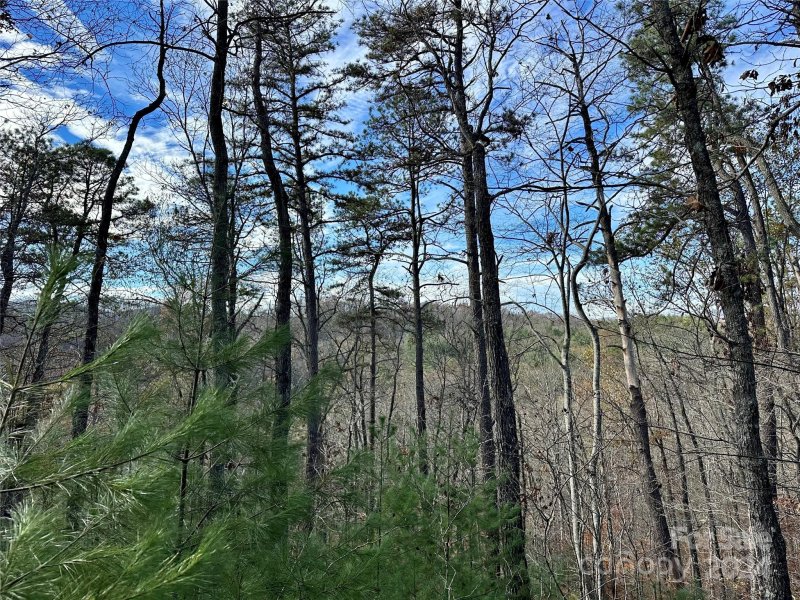 Property image 3 of 625 White Water Way in French Broad Crossing, Marshall, NC 28753