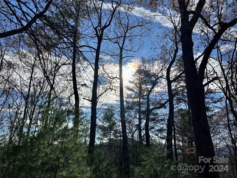 Property image 4 of 625 White Water Way in French Broad Crossing, Marshall, NC 28753