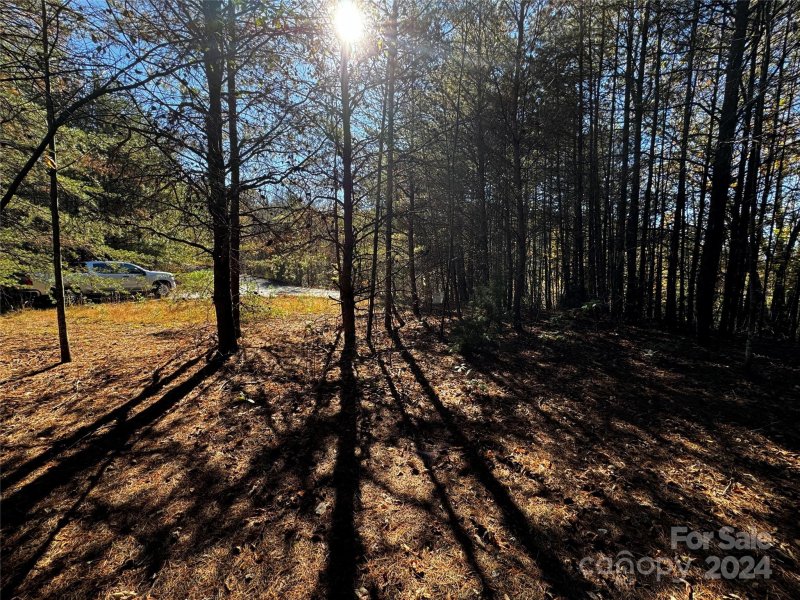 Property image 4 of 44 Boulder Ridge in The Peaks at Lake Lure, Lake Lure, NC 28746