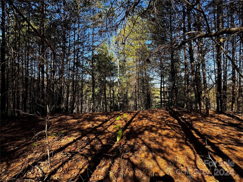 Property image 5 of 44 Boulder Ridge in The Peaks at Lake Lure, Lake Lure, NC 28746