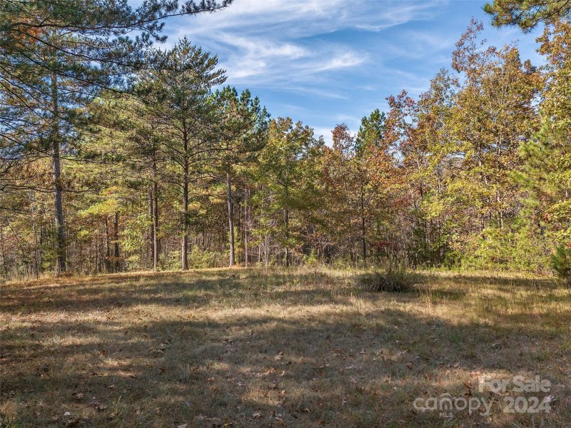 Property image 2 of 00 River Park Lane in Lake Adger, Mill Spring, NC 28756