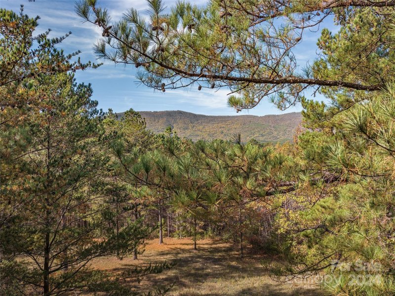 Property image 4 of 00 River Park Lane in Lake Adger, Mill Spring, NC 28756