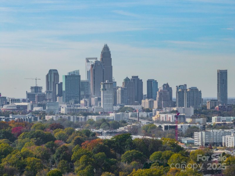 Property image 4 at 947 Warren Burgess Lane, Charlotte, NC 28205