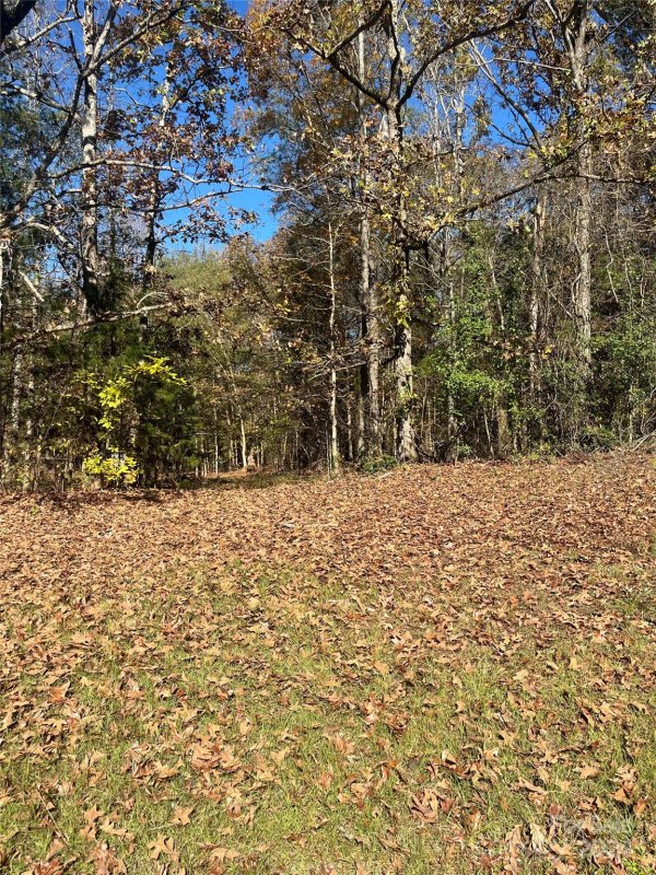 Property image 4 at Lot 15 Deer Run Drive, Rock Hill, SC 29732