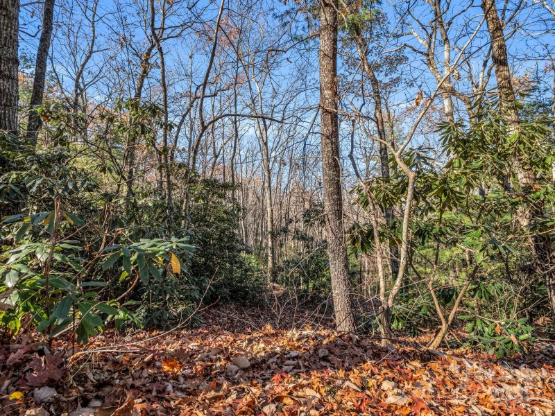 Property image 5 of 99999 Highland Drive in Sunset Park, Black Mountain, NC 28711