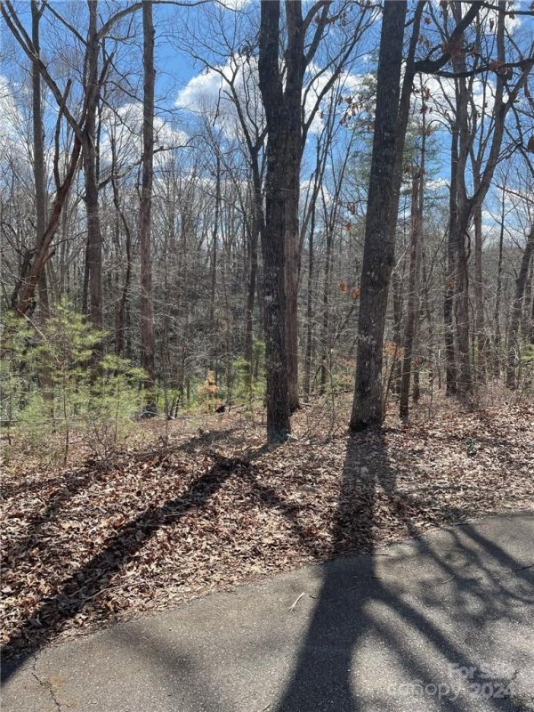 Property image 2 at 00 Renard Road, Tryon, NC 28782