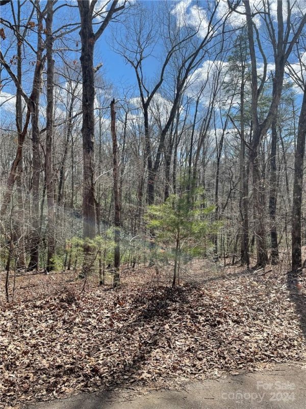 Property image 2 at 00 Renard Road, Tryon, NC 28782