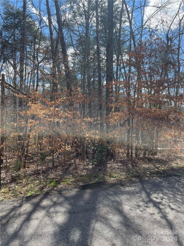 Property image 2 at 00 Pineview Court, Tryon, NC 28782
