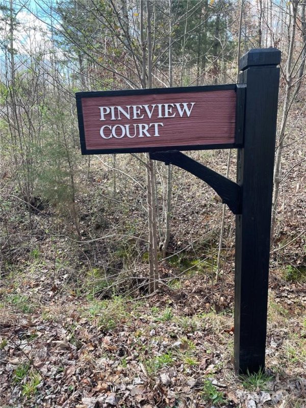 Property image 3 at 00 Pineview Court, Tryon, NC 28782