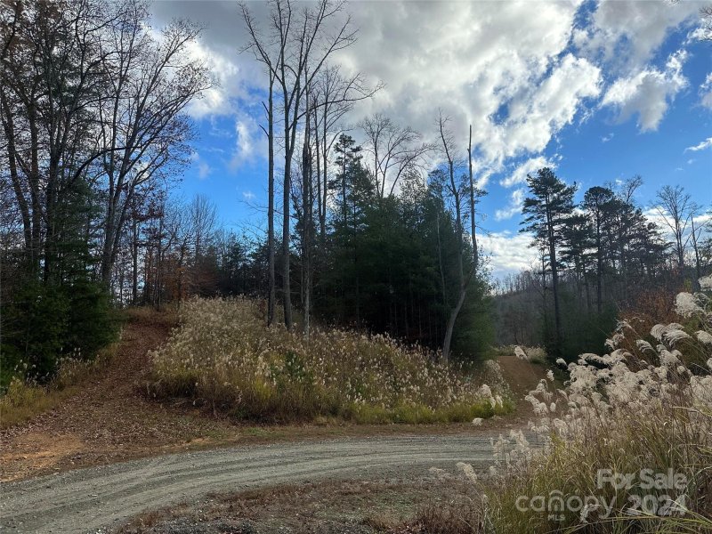 Property image 4 of 000 The Vines Boulevard in The Vines, Marshall, NC 28753