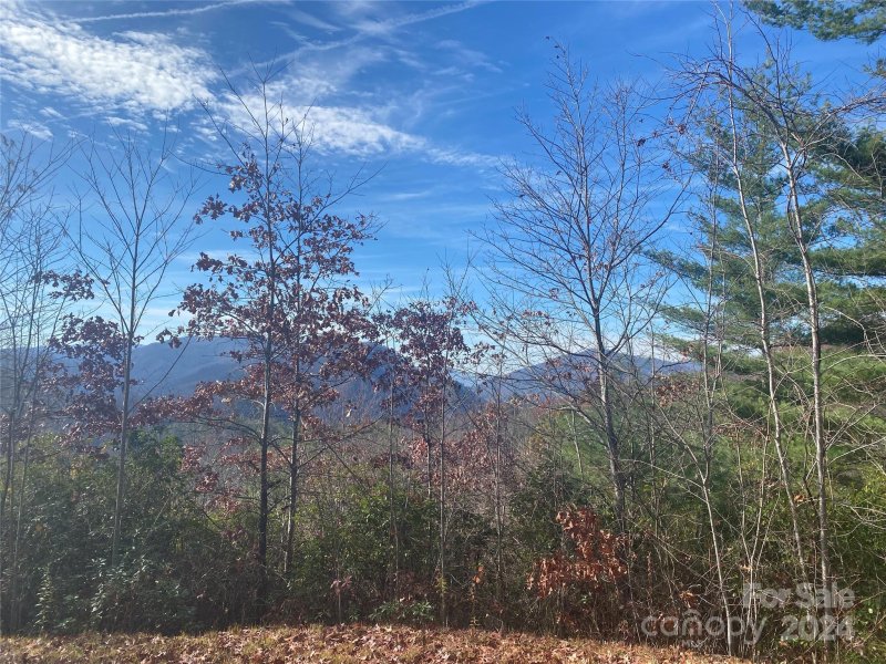 Property image 3 of Lot 4 Mystic Way in Mystic Ridge, Topton, NC 28781