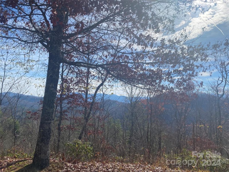 Property image 4 of Lot 4 Mystic Way in Mystic Ridge, Topton, NC 28781