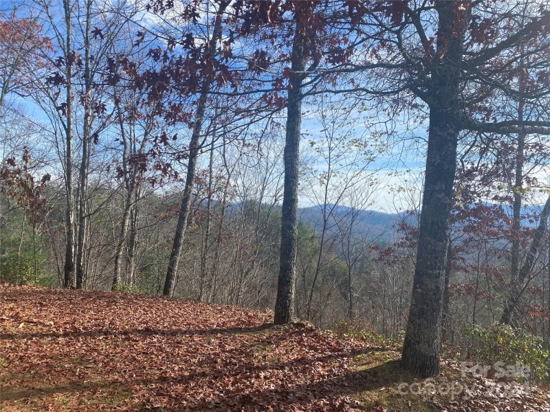 Property image 5 of Lot 4 Mystic Way in Mystic Ridge, Topton, NC 28781