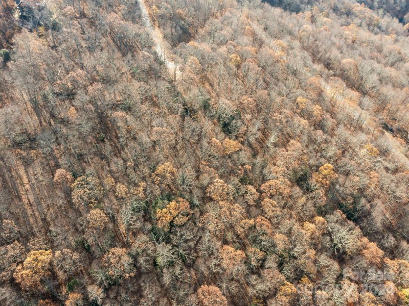 Property image 3 at 99999 Mountain Lily Ridge Drive, Swannanoa, NC 28778