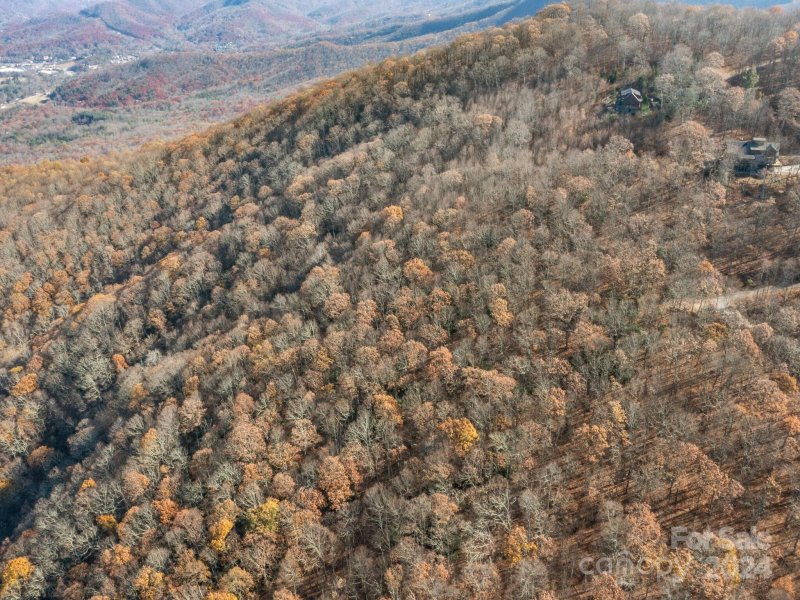 Property image 4 at 99999 Mountain Lily Ridge Drive, Swannanoa, NC 28778