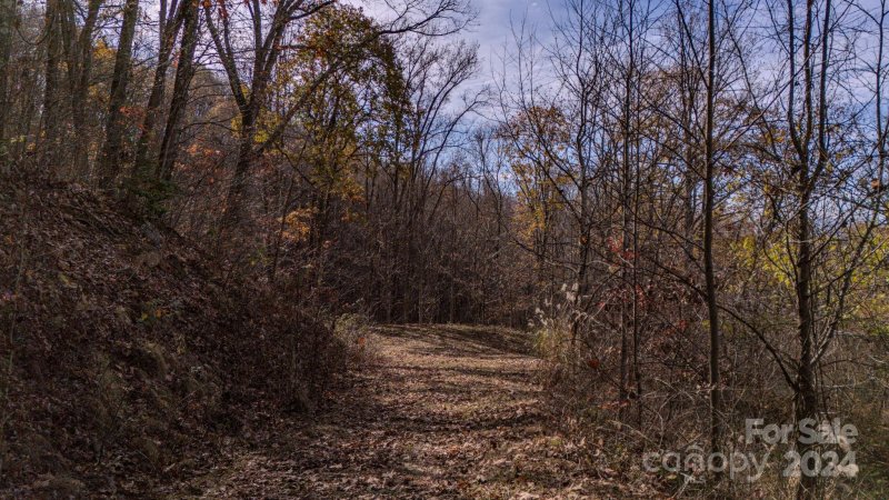 Property image 5 at 17 Broken Arrow Trail, Canton, NC 28716