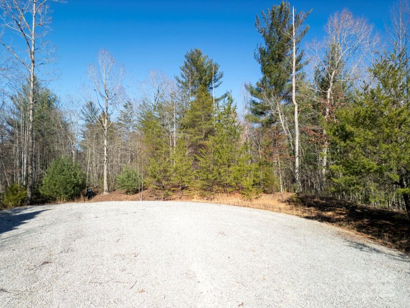Property image 3 of 126 Blackberry Creek in Blackberry Creek, Nebo, NC 28761
